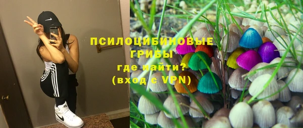 мет Арсеньев
