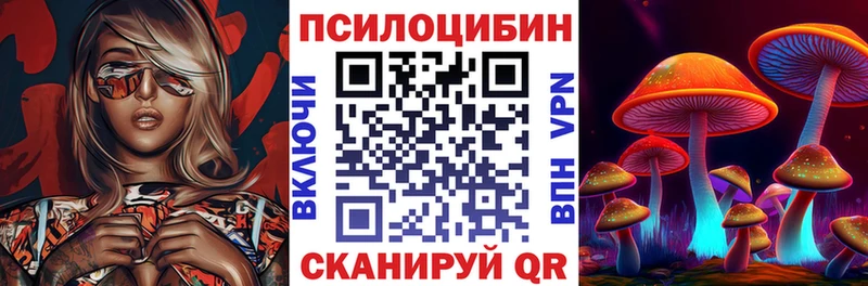 что такое наркотик Бабаево Галлюциногенные грибы Psilocybine cubensis